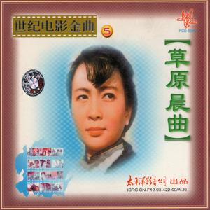 苦菜花开闪金光