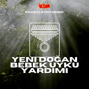 Seni düşünüyorum