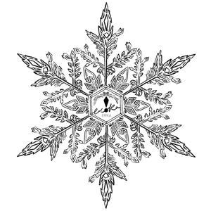 When Snowflakes Fell On Your Head