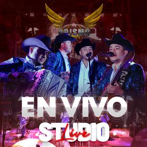 VERDAD(EN VIVO) (Live)