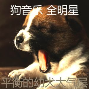 有趣训练犬情怀