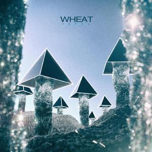 Wheat