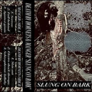 SKIN SUIT (feat. Death by Hornets)