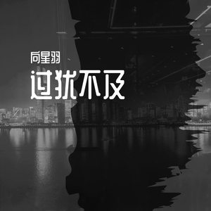 过犹不及 (DJ劲歌ROCK版)