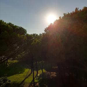 Torneremo un giorn(o)