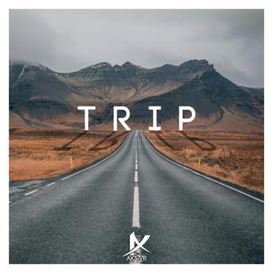 Trip