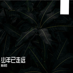 少年已走远(成品） 伴奏
