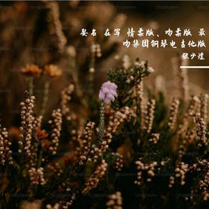 娶名 在写 情柔版、吻柔版 最吻集团钢琴电吉他版