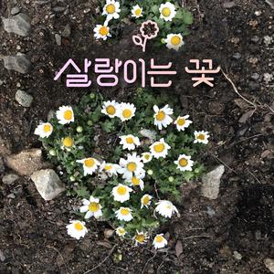 잊지 못할 그대 이름