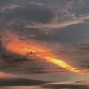 *Free* Noise 95bpm(prod.oceandrv x mjNichols)