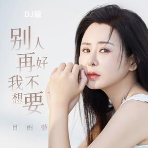 别人再好我不想要 (DJ版)