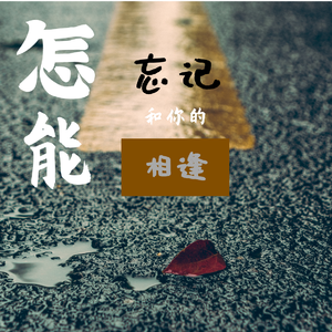 怎能忘记和你相逢