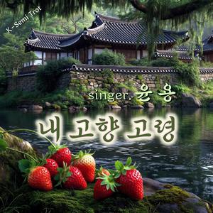 내 고향 고령
