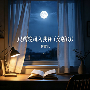 只剩晚风入我怀（女版DJ）