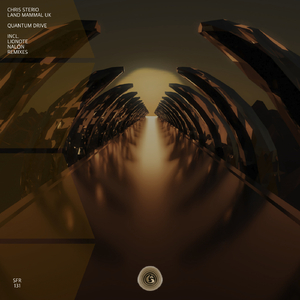 Quantum Drive (Lionote Remix)