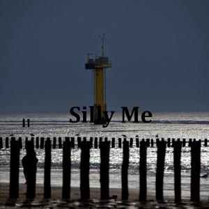 Silly Me