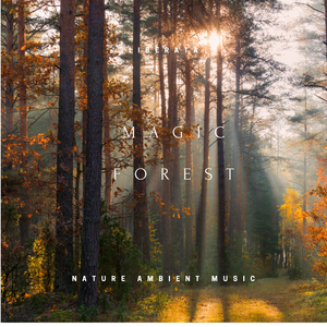 Magic Forest