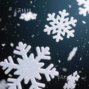 雪花片片飞向你 (Cover 李发发)