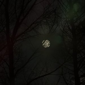 你说你不会哄人 于是我咽下了所有委屈