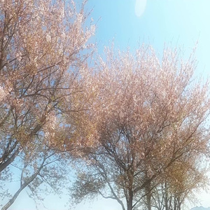 また会えるその日来るまで