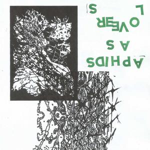 Passionless Lovemaking in a Dead Marriage