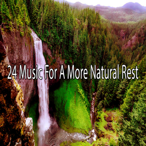 舒缓宁静的灵魂