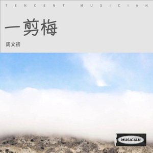 为了你我是真的伤过