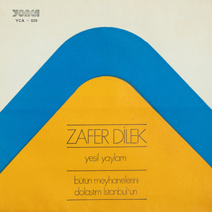 Bütün Meyhanelerini Dolaştım İstanbul'un