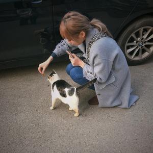 AND THE LIFE GOES ON-街物語（マグロ鱼酱 remix）