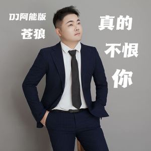 真的不恨你 (DJ阿能版伴奏)