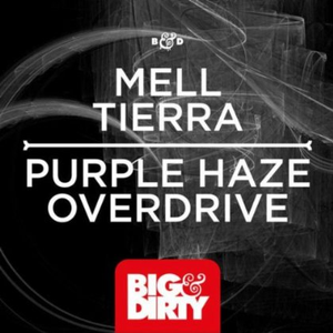 Purple Haze (Original Mix)