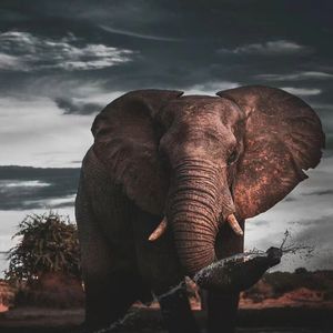 2023没有life-成品