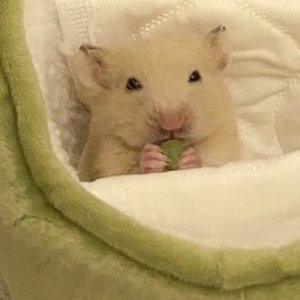 断了联系却断不了想你