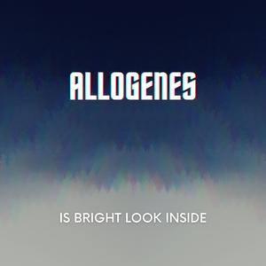 Is Bright Look Inside