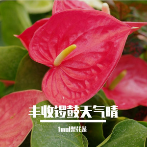 丰收锣鼓天气晴 伴奏