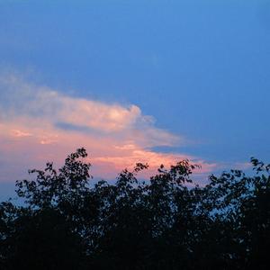 彼岸（Prod by Yzz Beats & Waymen)