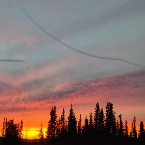 ✂❧ Sierra ☺ Mi Corazón ❤