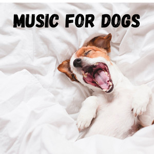 Dog Music