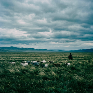 The Low Lying Hollow