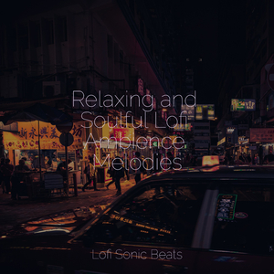 Melodic Flow Experience