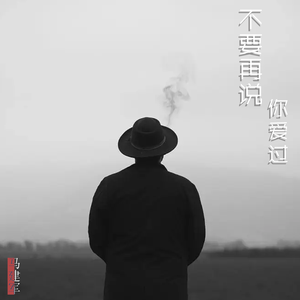 不要再说你爱过