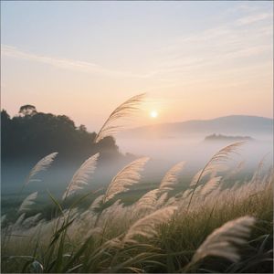 微风徐来送暖阳