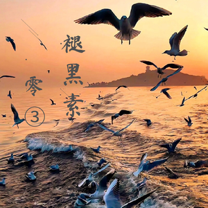 褪黑素（温柔女声版）