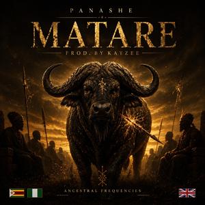 Matare (feat. Kayzee)