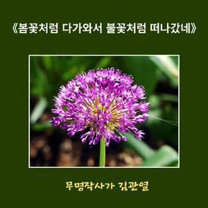 봄꽃처럼 다가와서 불꽃처럼 떠나갔죠