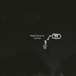 things i'd never say