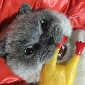 如果那一天我没有为你系上红色铃铛那么它也不会成为你唯一的遗物（New ver.）