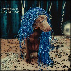 ground control to major tom