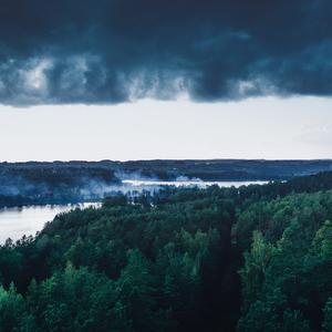 Matters of the Heart. You Can’t Rush Nor Dwell On These Things, As I Am Living Proof of this Pointless Statement... And I Would Rather Kill Myself Right About Now.