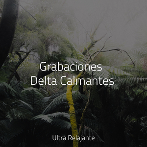 Calmante